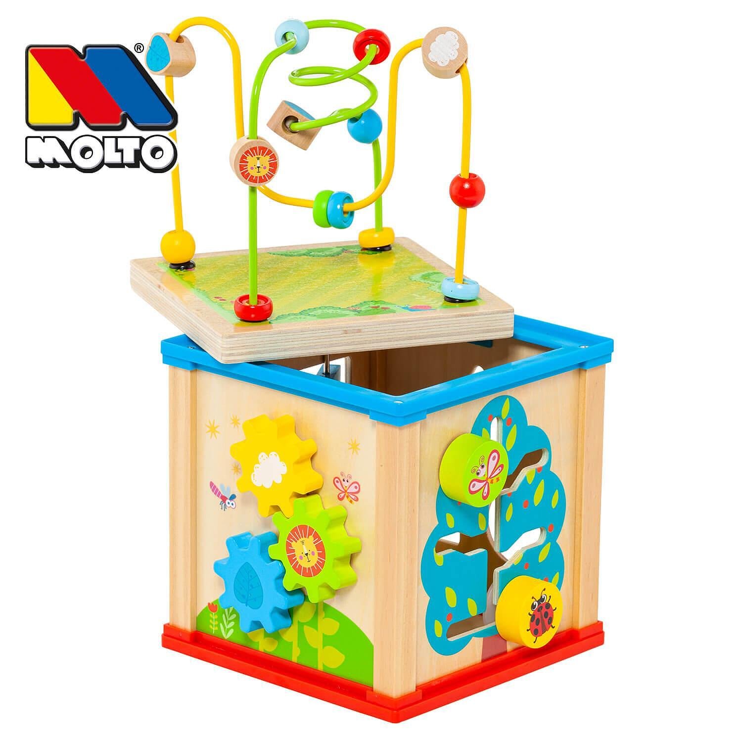 molto spielzeug Molto Дървен сортер Wooden Activity 5в1 23279